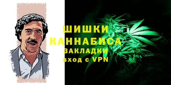 молекула духа Лиски