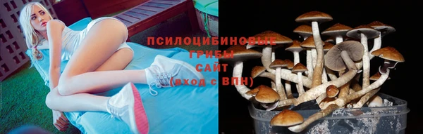 винт Лабытнанги