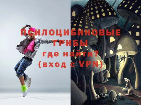 молекула духа Лиски