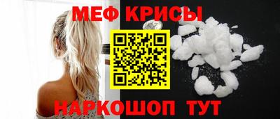 гашик Кингисепп