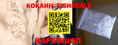 гашик Кингисепп