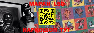 прущие грибы Абинск