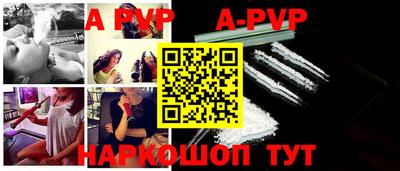 гашик Кингисепп