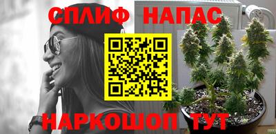 ешки Кинель
