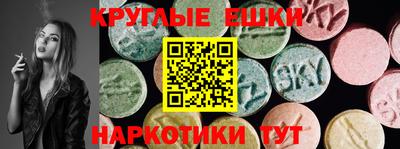 гашик Кингисепп