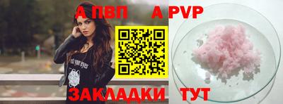 гашик Кингисепп