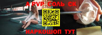 гашик Кингисепп