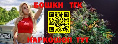 гашик Кингисепп
