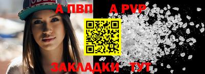 гашик Кингисепп