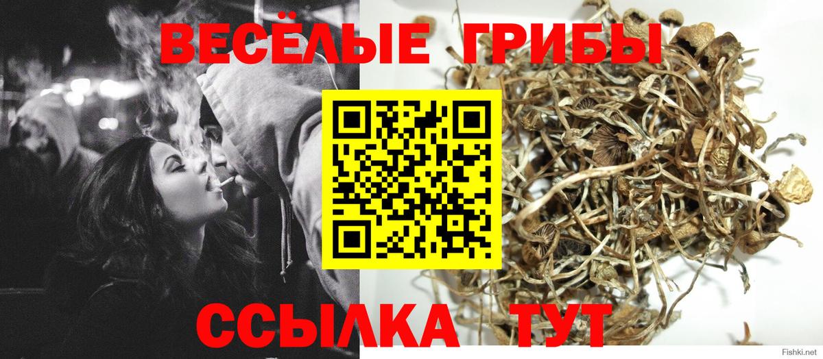 Псилоцибиновые грибы мухоморы  Галлюциногенные грибы GOLDEN TEACHER  купить   Вход с VPN  Славянск-на-Кубани 