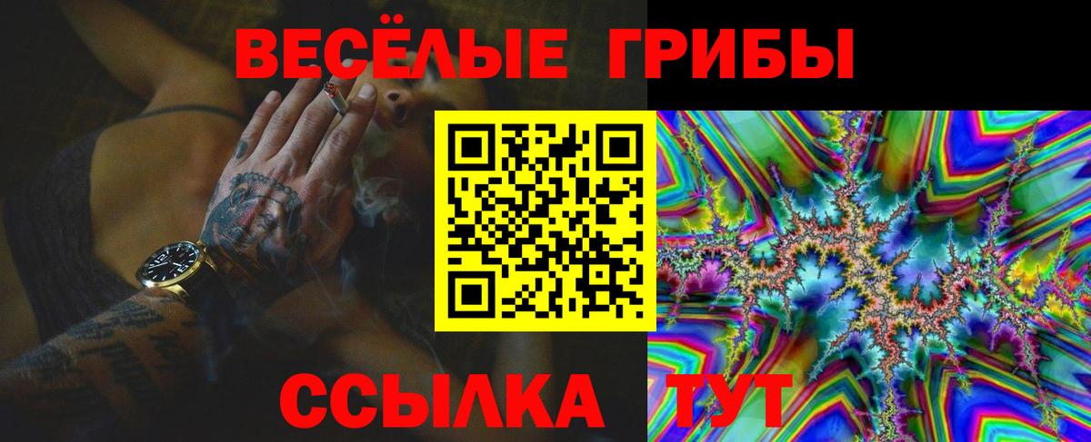 Галлюциногенные грибы прущие грибы  Славянск-на-Кубани  Псилоцибиновые грибы мицелий 
