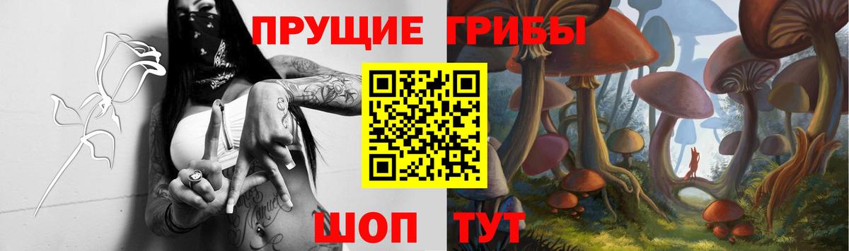 Галлюциногенные грибы ЛСД Славянск-на-Кубани