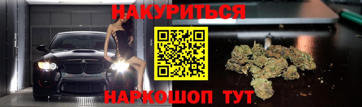 Конопля план Славянск-на-Кубани